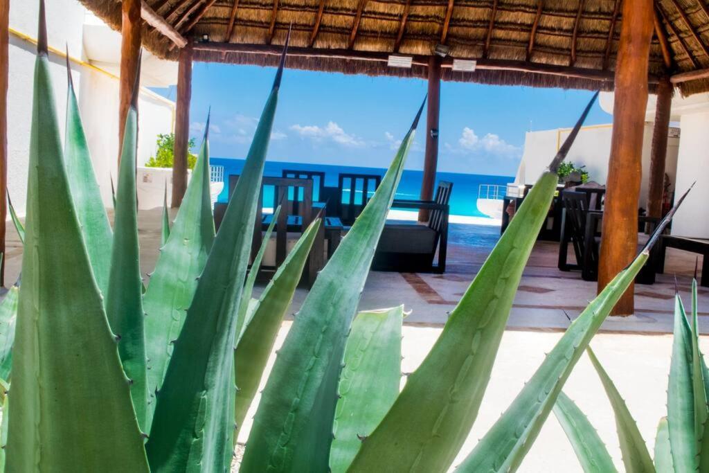 Ocean Front Villa Marlin, Best Location In Hotel Zone #109 Κανκούν Εξωτερικό φωτογραφία
